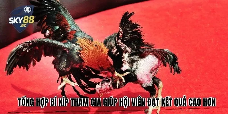 Tổng hợp bí kíp tham gia giúp hội viên đạt kết quả cao hơn