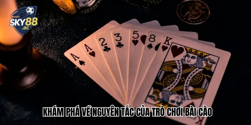Khám phá về nguyên tắc của trò chơi bài cào