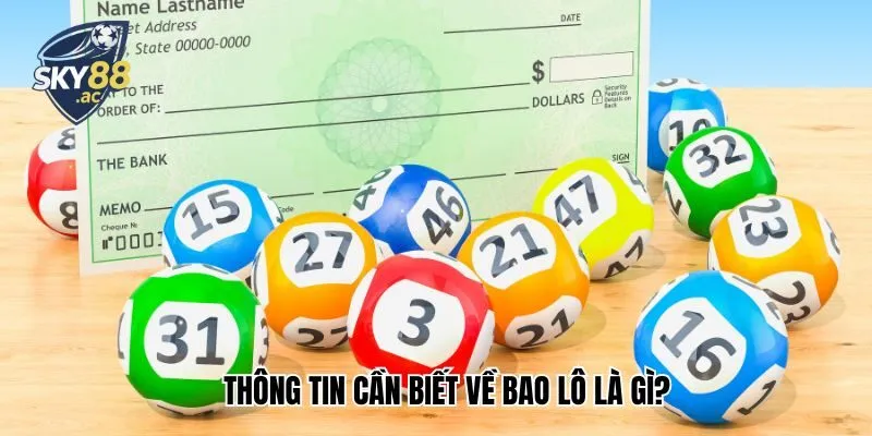 Thông tin cần biết về bao lô là gì?