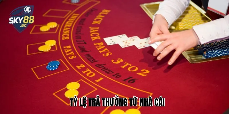 Tỷ lệ trả thưởng từ nhà cái uy tín hàng đầu hiện nay - Sky88