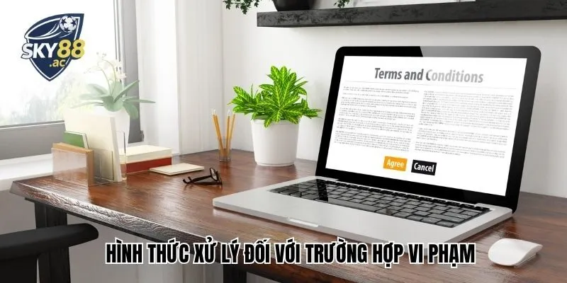 Hình thức xử lý đối với trường hợp vi phạm bạn cần nắm rõ