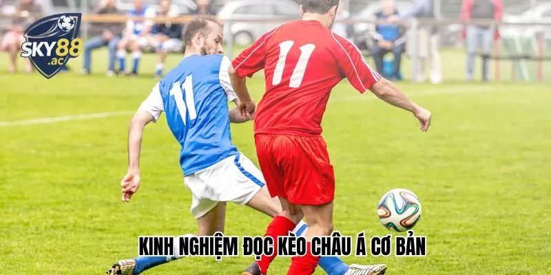 Kinh nghiệm đọc kèo Châu Á cơ bản