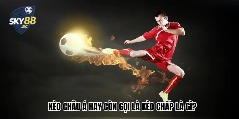 Kèo châu Á là gì? Thông tin tổng quan cho người mới bắt đầu