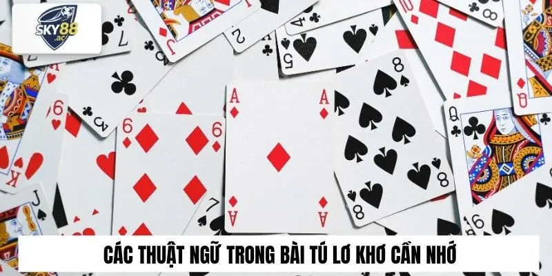 Các thuật ngữ trong bài tú lơ khơ cần nhớ