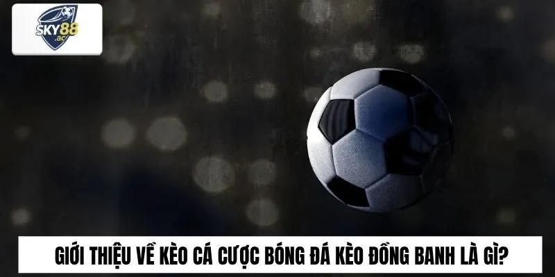 Giới thiệu về kèo cá cược bóng đá kèo đồng banh là gì?