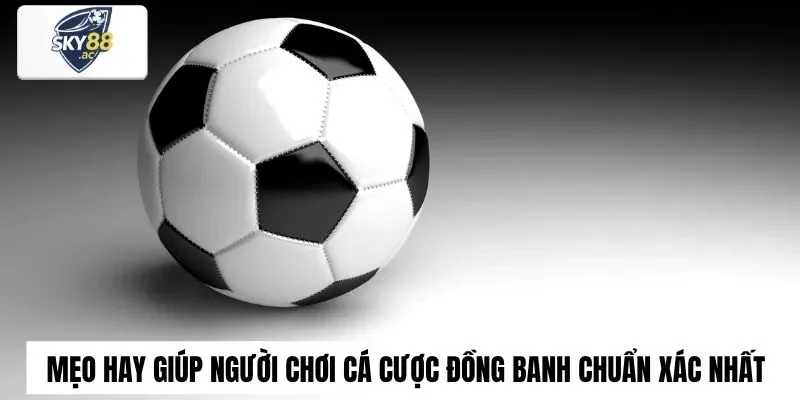 Mẹo hay giúp người chơi cá cược đồng banh chuẩn xác nhất